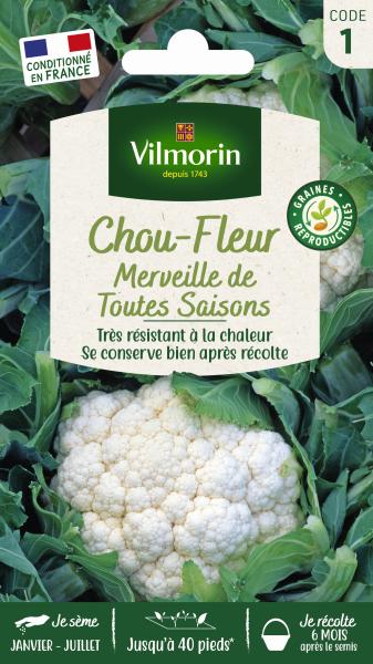 Potagères - Chou-Fleur Merveille des 4 Saisons - PACKAGING_RECTO